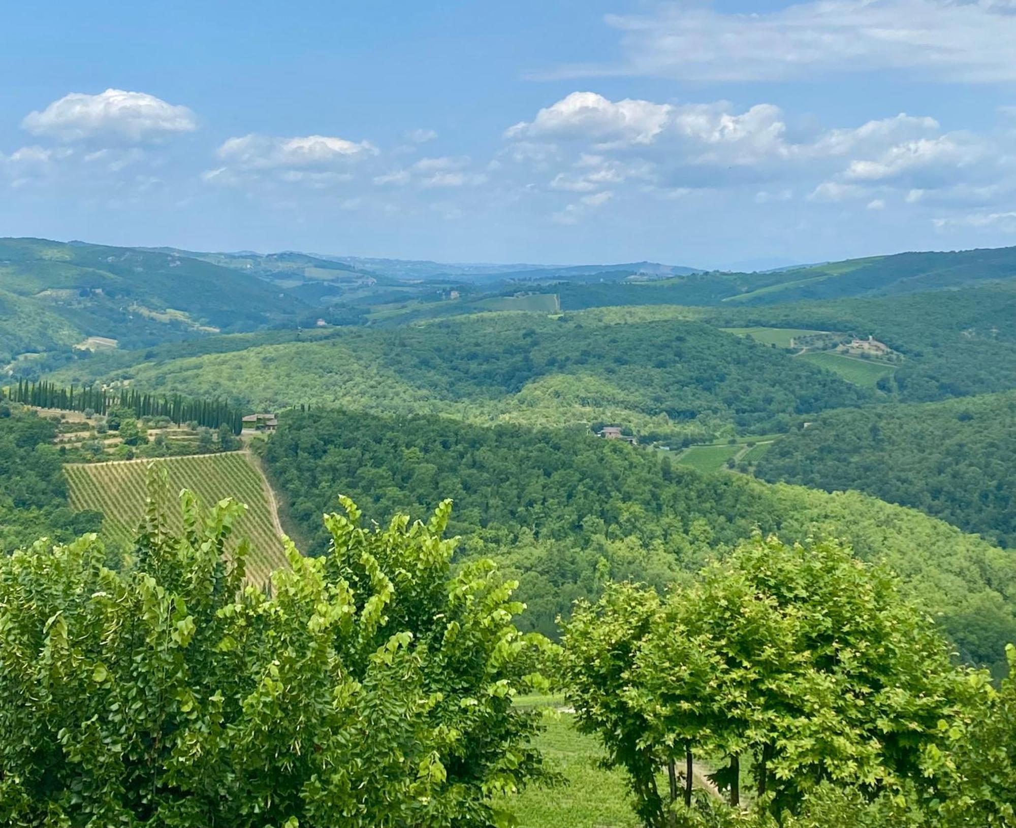 Casa Marina Villa Radda in Chianti Buitenkant foto